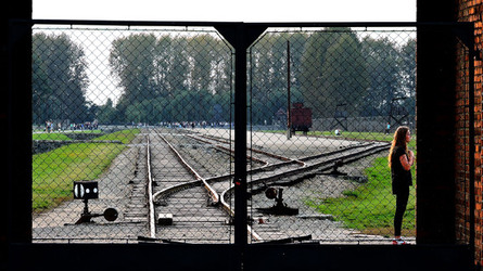 AUSCHHWITZ BIRKENAU la commemorazione. Fotografie di Giulio Azzarello &copy;2016.