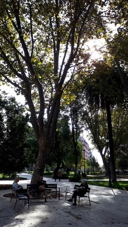 ROMA fotografie di Giulio Azzarello &copy;2022.