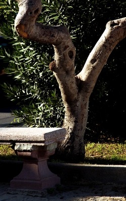 PALERMO fotografie di Giulio Azzarello ©2020.