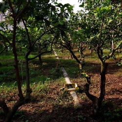 AUTUNNO fotografie di Giulio Azzarello ©2021. AUTUNNO fotografie di Giulio Azzarello ©2021.