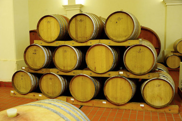 BOTTI per il vino. Fotografie di Giulio Azzarello ©2016. BOTTI per il vino. Fotografie di Giulio Azzarello ©2016.