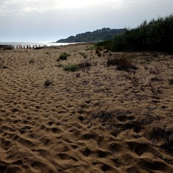 SELINUNTE. Fotografie di Giulio Azzarello &copy;2022.