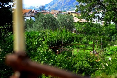 GIARDINO SICILIANO fotografie di Giulio Azzarello &copy;2020.