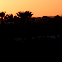 SELINUNTE. Fotografie di Giulio Azzarello ©2022. SELINUNTE. Fotografie di Giulio Azzarello ©2022.