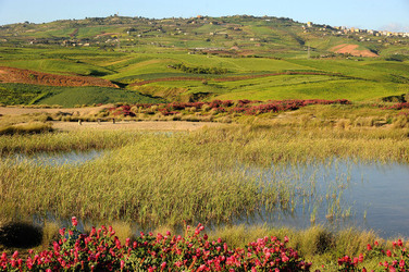 PAESAGGIO SICILIANO nel luogo delle macalube in Sicilia. Fotografie di Giulio Azzarello &copy;2014.