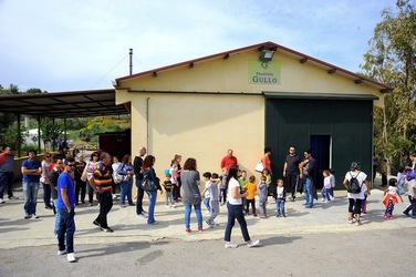 FRANTOIO GULLO ad Aliminusa in Sicilia. Fotografie di Giulio Azzarello &copy;2018.