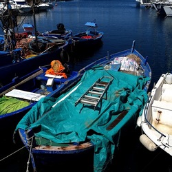 PALERMO. Fotografie di Giulio Azzarello &copy;2023.