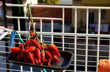 PEPERONCINO fotografie di Giulio Azzarello ©2014. PEPERONCINO fotografie di Giulio Azzarello ©2014.