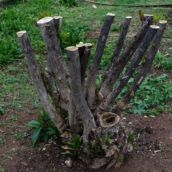 TRONCHI. Fotografie di Giulio Azzarello ©2022.