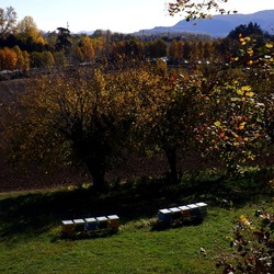 VICENZA La Rotonda di Andrea Palladio. Fotografie di Giulio Azzarello &copy;2022.