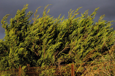 LUIGI PIRANDELLO il parco e la casa museo. Fotografie di Giulio Azzarello ©2014.