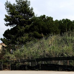 ZISA. Fotografie di Giulio Azzarello &copy;2023.