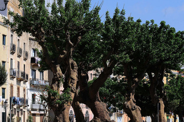 TRAPANI il centro storico il porto il mare la colombaia. Fotografie di Giulio Azzarello ©2014. TRAPANI il centro storico il porto il mare la colombaia. Fotografie di Giulio Azzarello ©2014.