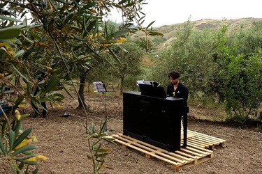 ULIVETO SICILIANO. Fotografie di Giulio Azzarello ©2022.
