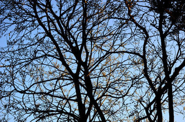 GOLE DELL ALCANTARA in Sicilia. Fotografie di Giulio Azzarello &copy;2016.