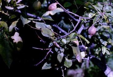 DIGITALIZZAZIONI fotografie di Giulio Azzarello &copy;2020.