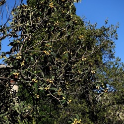 Arabo Normanno. Fotografie di Giulio Azzarello ©2024. Arabo Normanno. Fotografie di Giulio Azzarello ©2024.