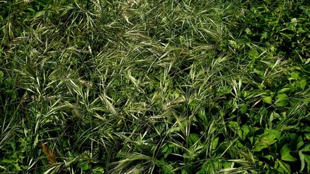 BAIA DEL CORALLO. Fotografie di Giulio Azzarello &copy;2022.