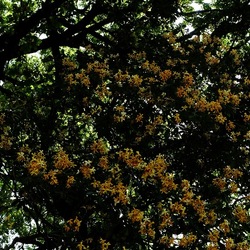 ORTO BOTANICO. Fotografie di Giulio Azzarello &copy;2024.