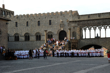 SANTA ROSA a Viterbo. Fotografie di Giulio Azzarello &copy;2014.