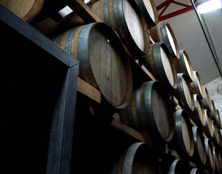 VIGNETO tipico siciliano a Salemi panoramiche e particolari. Fotografie di Giulio Azzarello &copy;2014.