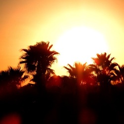 SELINUNTE. Fotografie di Giulio Azzarello ©2022. SELINUNTE. Fotografie di Giulio Azzarello ©2022.