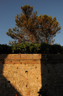 POLIZZI GENEROSA in Sicilia. Fotografie di Giulio Azzarello ©2014. POLIZZI GENEROSA in Sicilia. Fotografie di Giulio Azzarello ©2014.