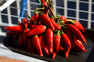 PEPERONCINO fotografie di Giulio Azzarello ©2014. PEPERONCINO fotografie di Giulio Azzarello ©2014.