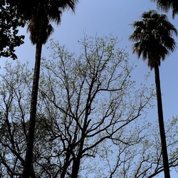 ORTO BOTANICO. Fotografie di Giulio Azzarello &copy;2024.