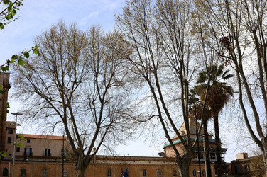 VILLA BONANNO a Palermo. Fotografie di Giulio Azzarello &copy;2016.