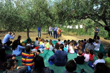 FRANTOIO GULLO ad Aliminusa in Sicilia. Fotografie di Giulio Azzarello &copy;2018.