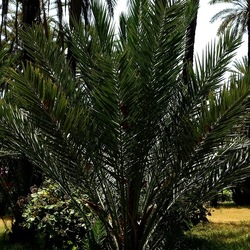 PALERMO. Fotografie di Giulio Azzarello &copy;2022.