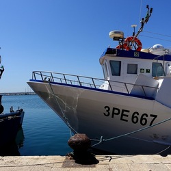 TRAPANI. Fotografie di Giulio Azzarello ©2022.