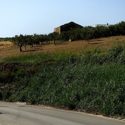 SELINUNTE. Fotografie di Giulio Azzarello ©2022. SELINUNTE. Fotografie di Giulio Azzarello ©2022.