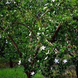 AUTUNNO fotografie di Giulio Azzarello ©2021. AUTUNNO fotografie di Giulio Azzarello ©2021.