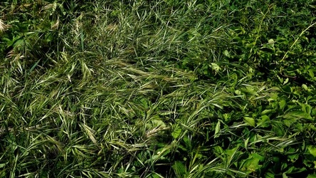 BAIA DEL CORALLO. Fotografie di Giulio Azzarello &copy;2022.