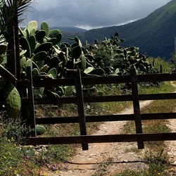 TERRASINI. Fotografie di Giulio Azzarello &copy;2022.