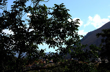 NUVOLE E NATURA fotografie di Giulio Azzarello &copy;2014.