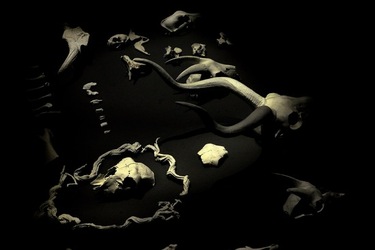 PADIGLIONE AFRICANO Biennale di Venezia. Fotografie di Giulio Azzarello &copy;2020.