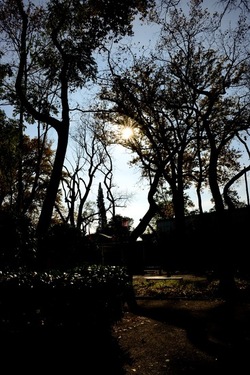 VENEZIA Giardini della Biennale di Arch. Cont.. Fotografie di Giulio Azzarello ©2022.
