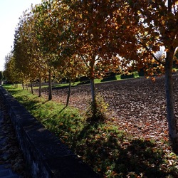 VICENZA La Rotonda di Andrea Palladio. Fotografie di Giulio Azzarello &copy;2022.