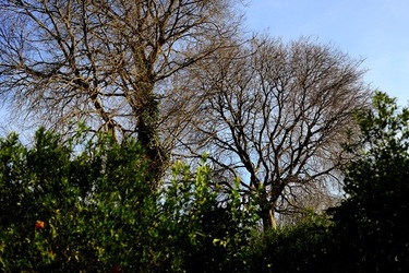 CAMPAGNA fotografie di Giulio Azzarello ©2020.