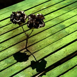METALLICO. Fotografia di Giulio Azzarello &copy;2023.