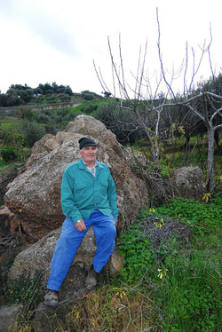 TIPICO FRANTOIO fotografie di Giulio Azzarello ©2014. TIPICO FRANTOIO fotografie di Giulio Azzarello ©2014.