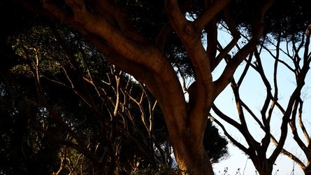 BARCHE. Fotografie di Giulio Azzarello ©2022. BARCHE. Fotografie di Giulio Azzarello ©2022.