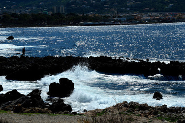 CAPO GALLO riserva marina e naturalistica a Palermo panoramiche e particolari. Fotografie di Giulio Azzarello ©2014. CAPO GALLO riserva marina e naturalistica a Palermo panoramiche e particolari. Fotografie di Giulio Azzarello ©2014.