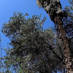 Arabo Normanno. Fotografie di Giulio Azzarello ©2024. Arabo Normanno. Fotografie di Giulio Azzarello ©2024.