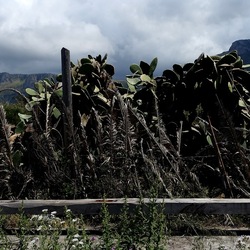 TERRASINI. Fotografie di Giulio Azzarello &copy;2022.