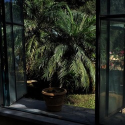 ORTO BOTANICO di PALERMO. Fotografie di Giulio Azzarello ©2019.