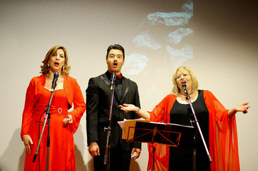 SPETTACOLO di Sara Favar&ograve; e della sua compagnia. Fotografie di Giulio Azzarello &copy;2015 2016.